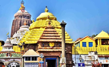  ମହାପ୍ରଭୁଙ୍କ ବନକଲାଗି ନୀତି : ପାଞ୍ଚ ଘଣ୍ଟା ପାଇଁ ସର୍ବସାଧାରଣଙ୍କ ଦର୍ଶନ ବନ୍ଦ 