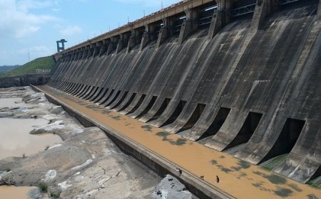 ବିପଦରେ ଓଡ଼ିଶାର ଜୀବନରେଖା