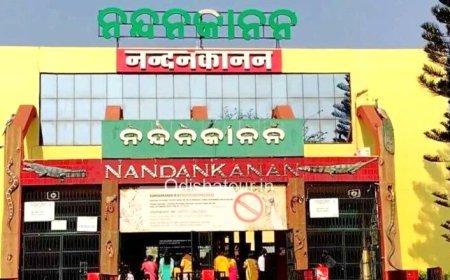 ଭୁବନେଶ୍ୱରର ନନ୍ଦନକାନନରେ ନୂଆ ଅତିଥି