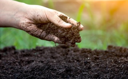 ସୃଷ୍ଟି ପାଇଁ ମାଟି 