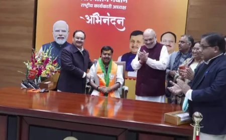 ରାଷ୍ଟ୍ରୀୟ କାର୍ଯ୍ୟକାରୀ ସଭାପତି ଭାବେ ଦାୟିତ୍ୱ ନେଲେ ନୀତିନ