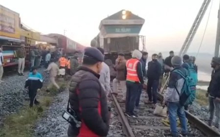 ଟ୍ରେନ୍‌ ଧକ୍କାରେ ୮ ହାତୀ ମୃତ 