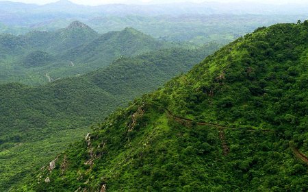 ଆରାବଳୀ ମାମଲାରେ ନିଜ ରାୟ ଉପରେ ରୋକ୍‌ ଲଗାଇଲେ ସୁପ୍ରିମକୋର୍ଟ