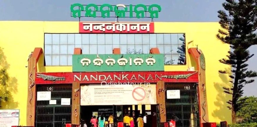 ଭୁବନେଶ୍ୱରର ନନ୍ଦନକାନନରେ ନୂଆ ଅତିଥି