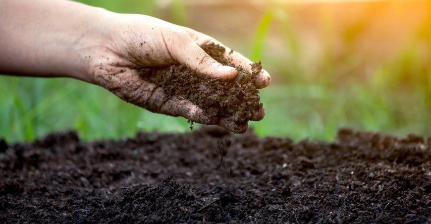 ସୃଷ୍ଟି ପାଇଁ ମାଟି 