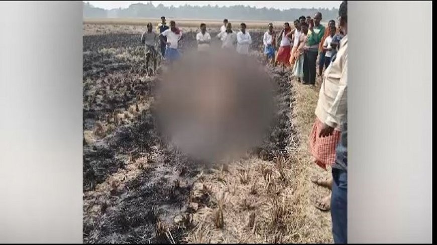 ଧାନ ବିଲରେ ଜଳି ଚାଷୀଙ୍କ ମୃତ୍ୟୁ