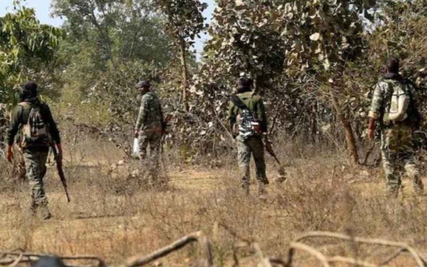 ସୁରକ୍ଷାକର୍ମୀଙ୍କ ଗୁଳିରେ ଟଳିଲେ ଦୁଇ ମାଓବାଦୀ 