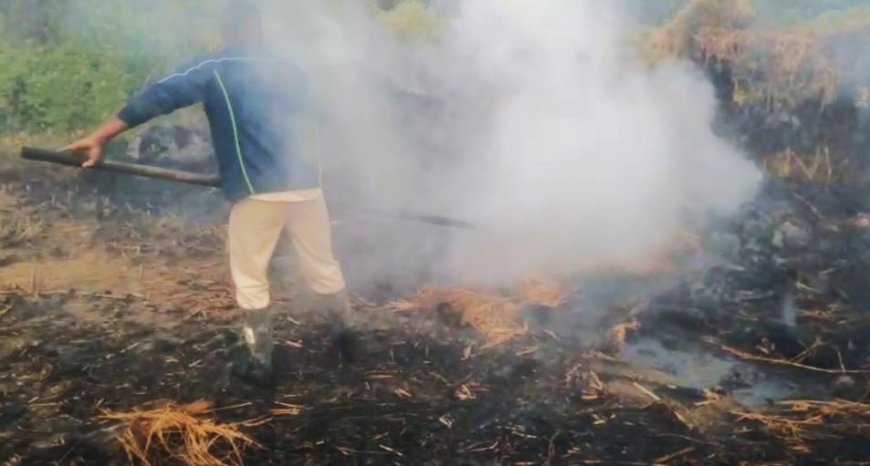 ବିଦ୍ୟୁତ୍‌ ତାର ଛିଡି ଯିବାରୁ ଜଳିଗଲା ଧାନ 