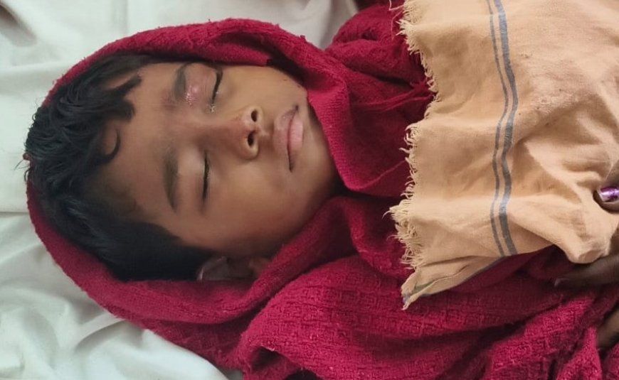 ଭାଲୁ ଆକ୍ରମଣରେ ନାବାଳକ ଗୁରୁତର