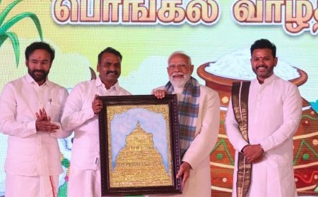 ପୋଙ୍ଗଲ ଏବେ ବିଶ୍ୱସ୍ତରୀୟ ପର୍ବ 