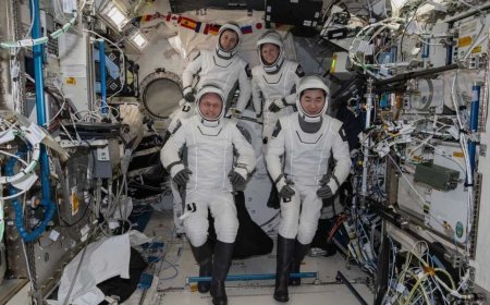 ମହାକାଶରୁ ଫେରୀଲେ ୪ ମହାକାଶଚାରୀ