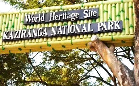 ୭ ହଜାର କୋଟିର କାଜିରଙ୍ଗା କରିଡର ଶିଳାନ୍ୟାସ କଲେ ମୋଦି