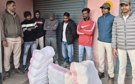 ୭୬ କିଲୋ ଗଞ୍ଜେଇ ଜବତ; ୫ କୋର୍ଟ ଚାଲାଣ