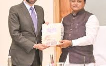 ମୁଖ୍ୟମନ୍ତ୍ରୀଙ୍କ ସହ ବିଶ୍ୱ ବ୍ୟାଙ୍କ ସଭାପତିଙ୍କ  ଆଲୋଚନା