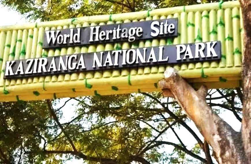 ୭ ହଜାର କୋଟିର କାଜିରଙ୍ଗା କରିଡର ଶିଳାନ୍ୟାସ କଲେ ମୋଦି