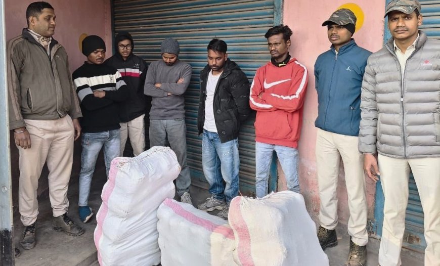 ୭୬ କିଲୋ ଗଞ୍ଜେଇ ଜବତ; ୫ କୋର୍ଟ ଚାଲାଣ