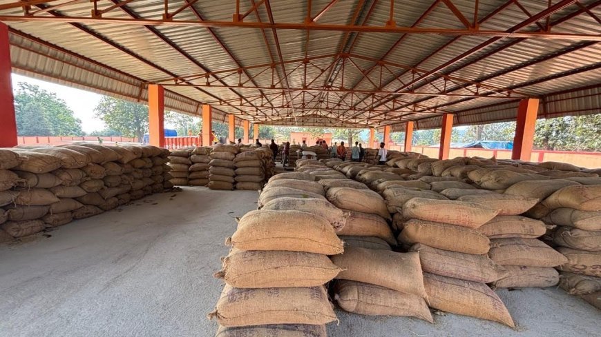 ଧାନ କିଣାରେ ଅଚଳାବସ୍ଥା : ମଣ୍ଡିରେ ପଡ଼ିଛି ଶହ ଶହ ଧାନ ବସ୍ତା 