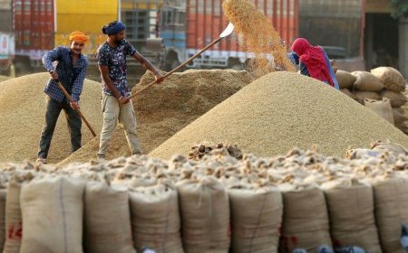 ସରିନି ଯାଞ୍ଚ, ଧାନ ବିକି ପାରୁନାହାନ୍ତି ୪୬ ହଜାର ଚାଷୀ