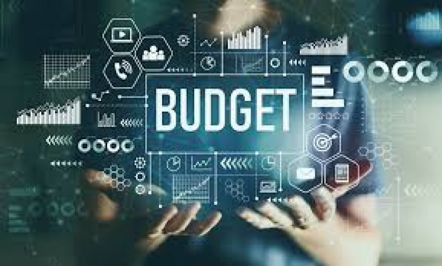 ନିର୍ମଳାଙ୍କ "କର୍ତ୍ତବ୍ୟ'ବଜେଟ୍‌